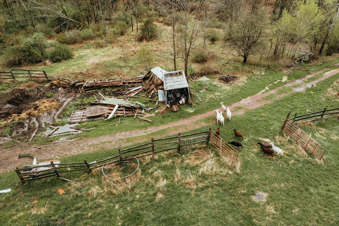 Photo Destruction aftermath